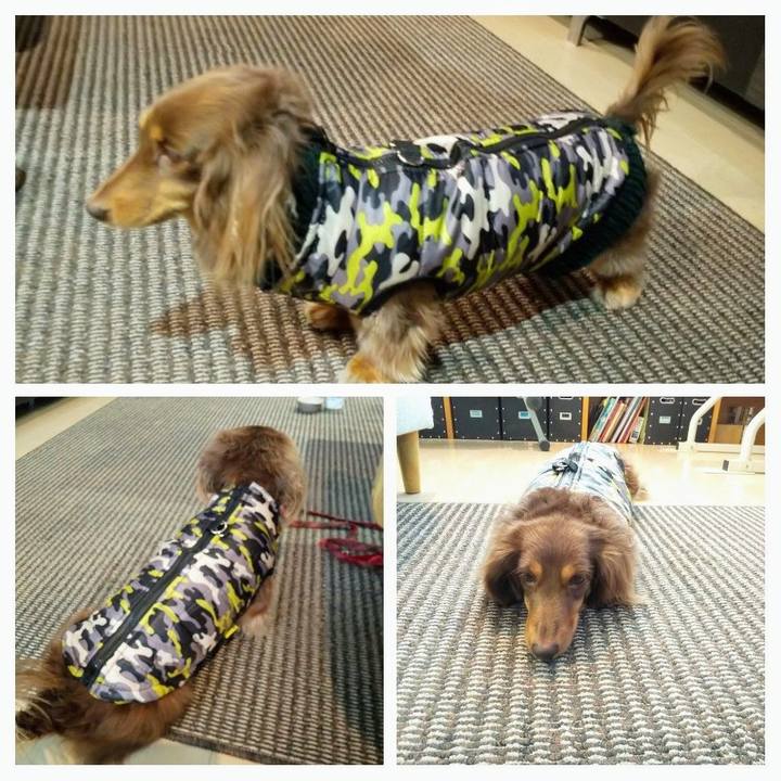 184cf503 d06f 4b9c a718 2f362d71eee4 1578634292437