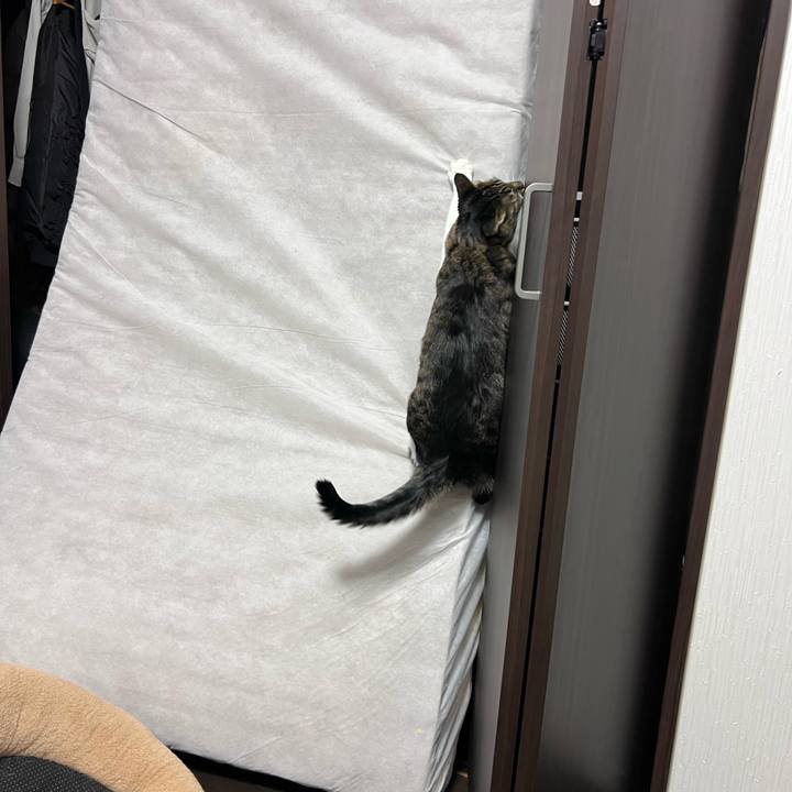 184d045e 0966 4fb7 bd91 4b5911e83db2 1770644270491