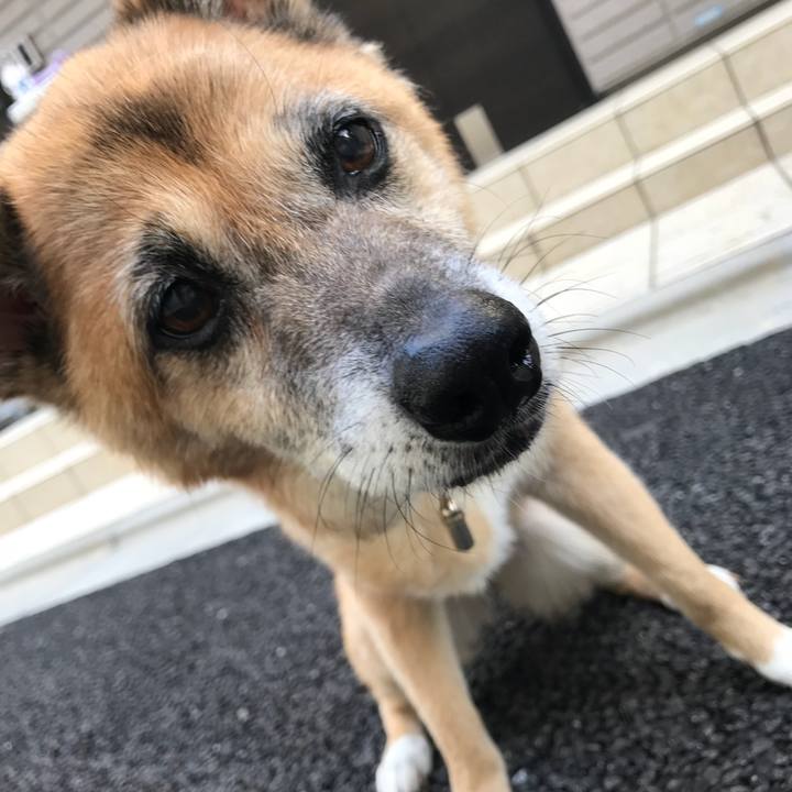 184d06e3 d2ed 4c0f 9572 17849c6879cf 1534374874799