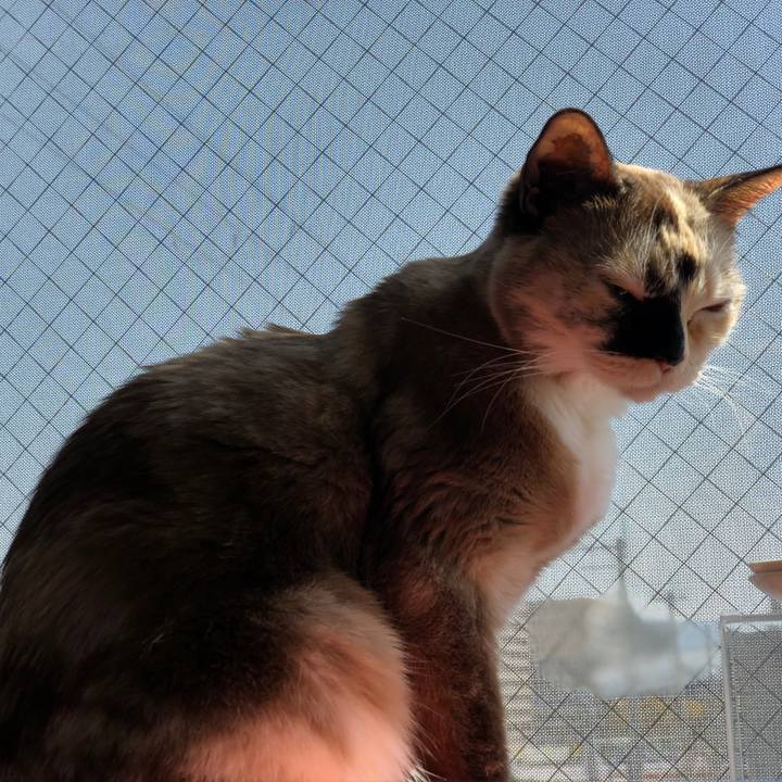 184d0e82 a227 4788 9f0d 67ae840ed74b 1774201207145