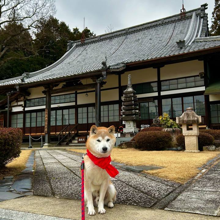 184d0fee f770 47b7 bfc1 5504eaf6b6e1 1767515419207