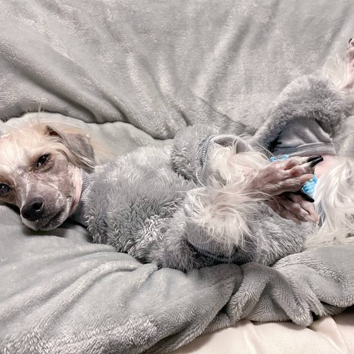 184d33b9 e3b8 4ae7 b031 7cd8cd75820c 1768114099572