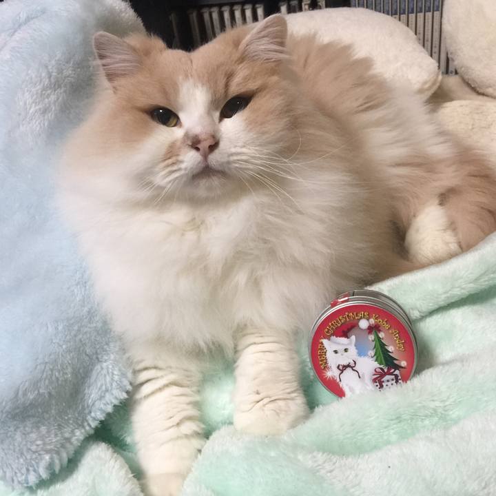 184d6b04 5220 4e35 968b 4e8d3a3ddcda 1544105248492