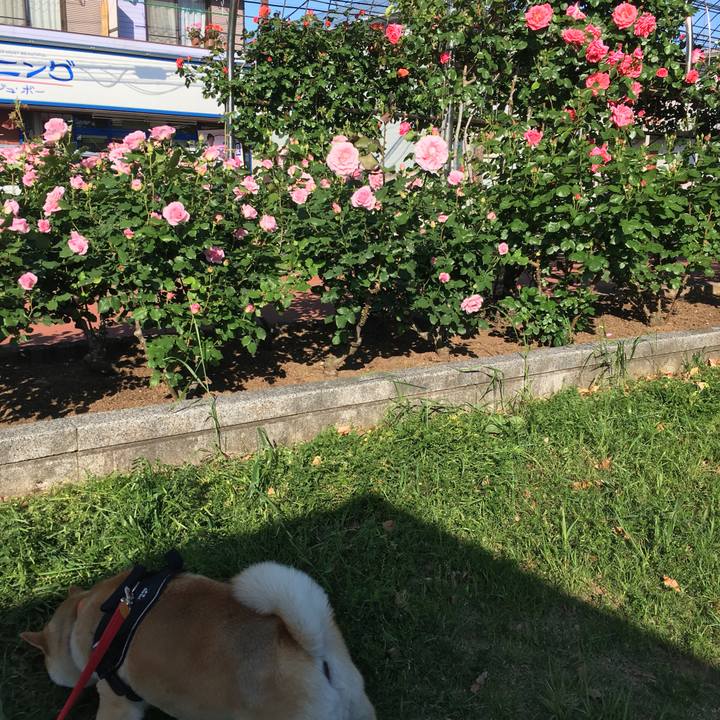 184d7146 c6b5 4698 aef2 54173b45f863 1557301320704