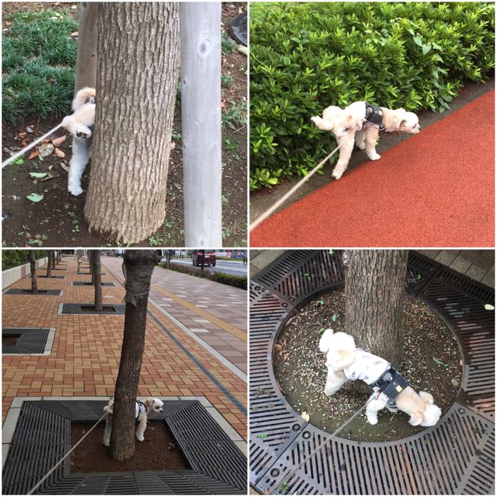 184d78d9 cde0 465d 8b23 8db0b5bbd986 1561959212637