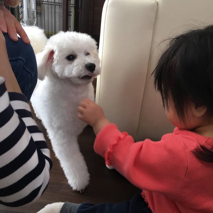 184d791c b977 4f47 81f2 5dc852b7103f 1522045884483