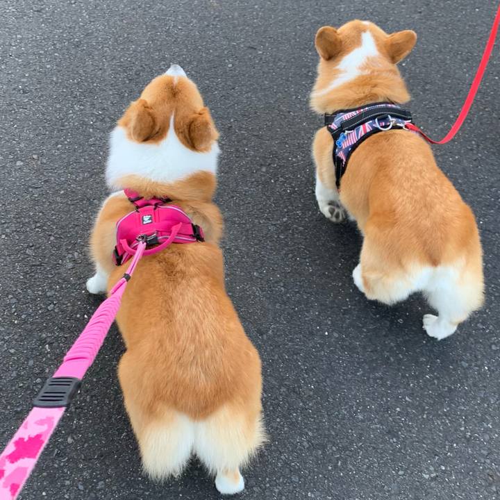 184d920e 7b34 44f4 a100 08312274a851 1627425384113