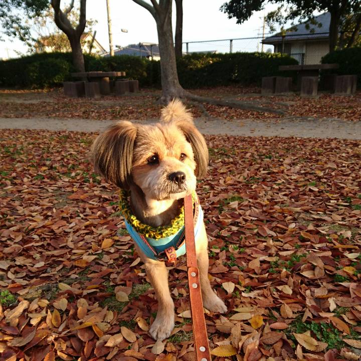 184d9a58 9636 4c84 afa8 cfffee703d67 1542330883563