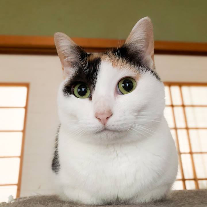 184ddb9b 33f8 4043 bdd9 c70e2f4656d4 1578967862312