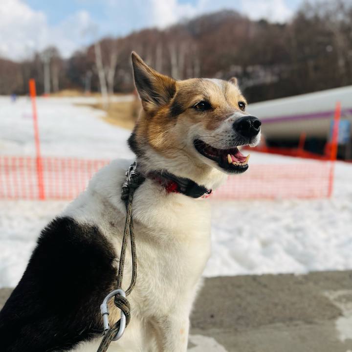 184e2d2b bc90 4b68 8406 10532e320529 1774769263891