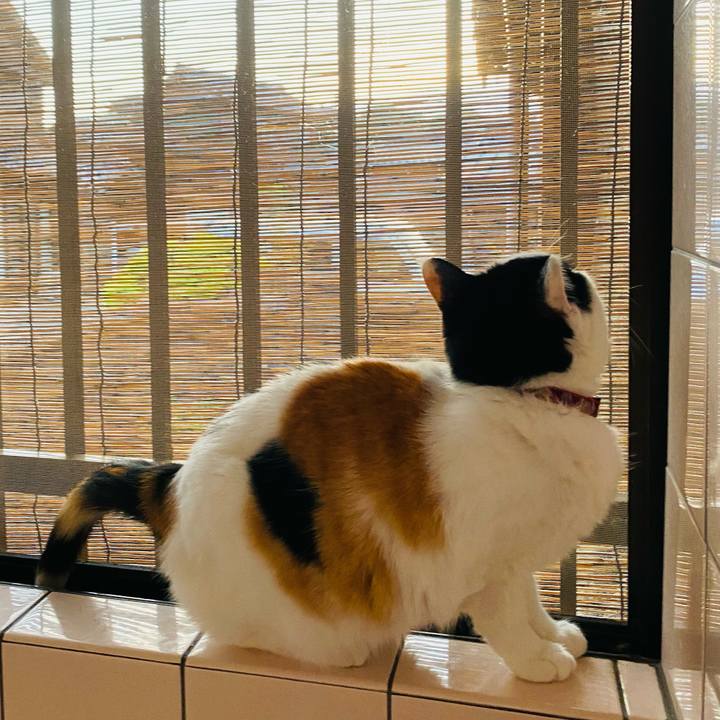 184e3a8c c270 4dc9 8d30 1d772d4939e8 1652101847765