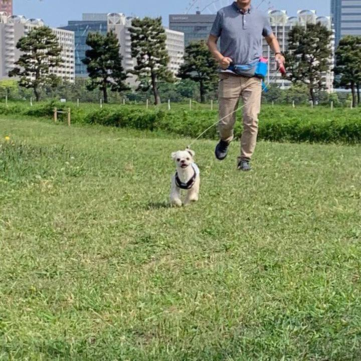 184ec025 e20e 4c9a b602 117e0dbd6fe1 1556973348212