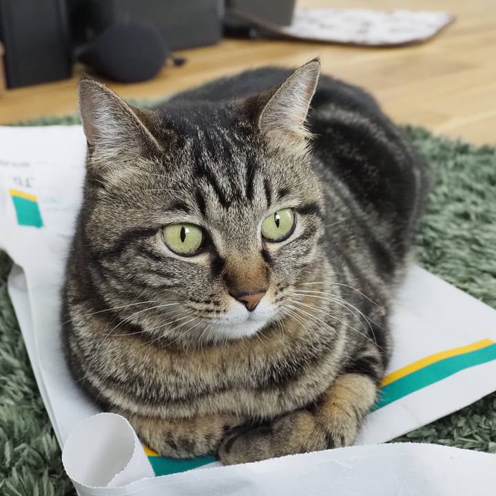 184ed4e7 5ad6 4c81 80e1 296d7f2ab888 1651978944897