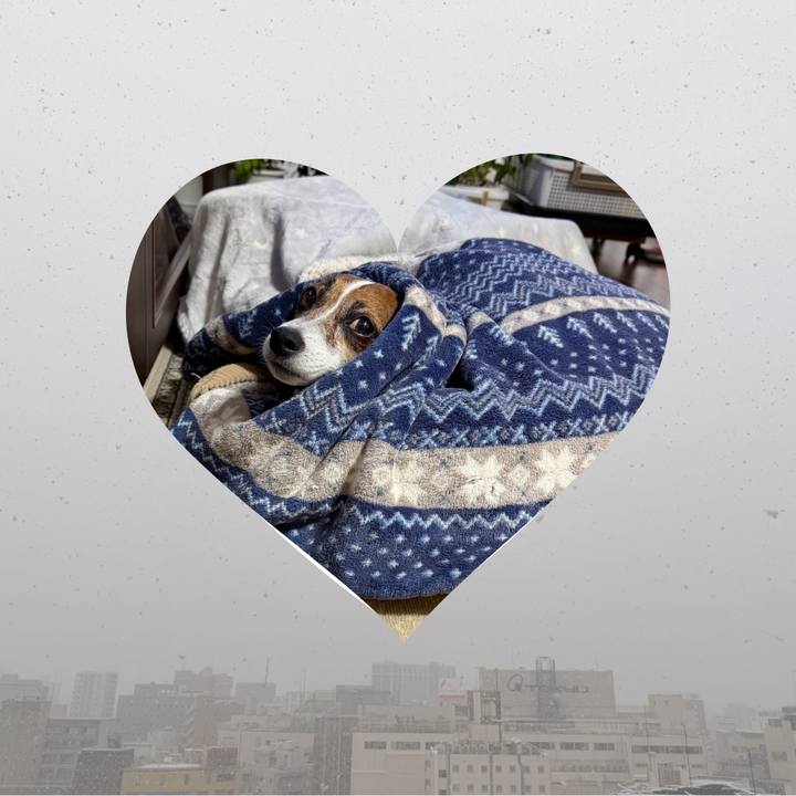 184ee63a 2389 44e4 8616 e20fb61628be 1767827359982