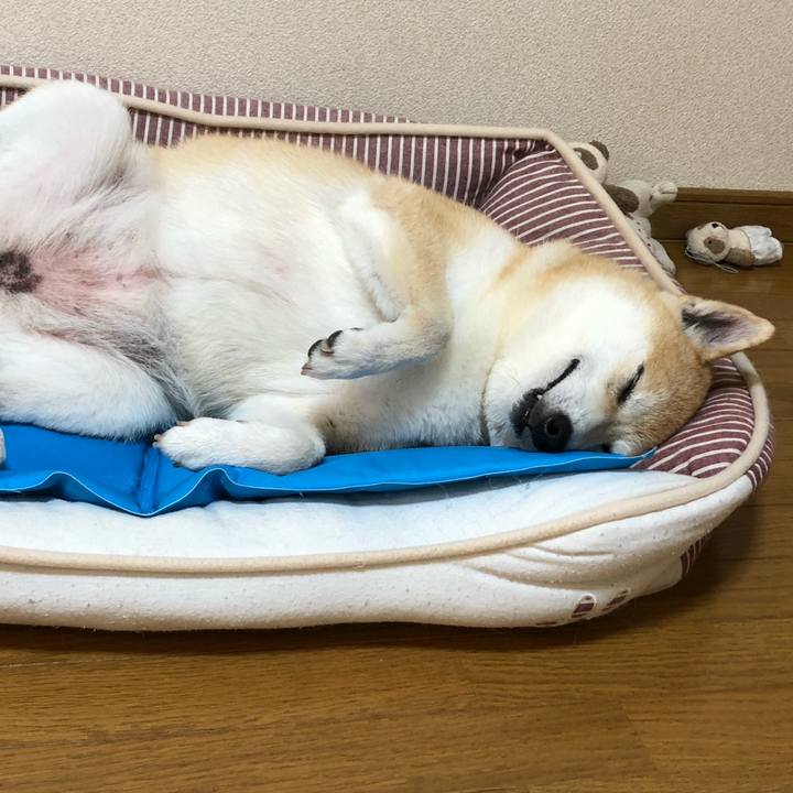 184eff1f a881 40c3 8681 8287ac58fb77 1596359027240