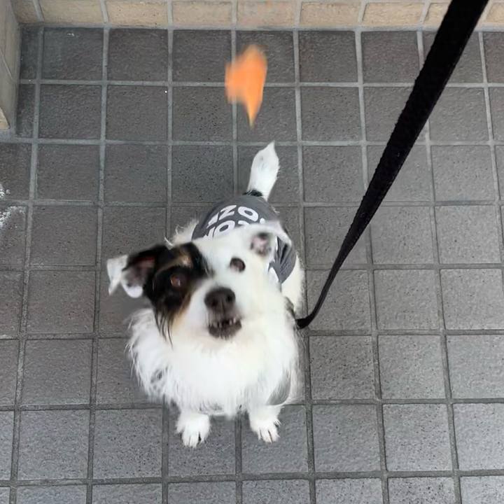 184f44cd 6005 4408 b027 9311c9fa9d6a 1681864809036