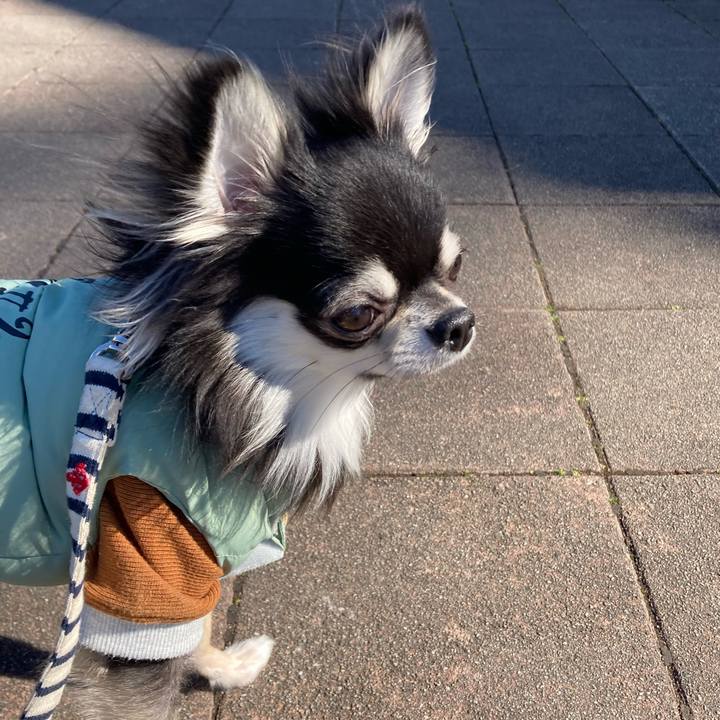 184f5479 2ec5 43b3 b9c3 7bd8af5dc290 1612069730758