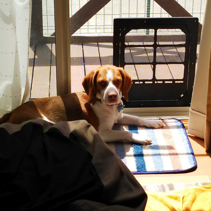 184f6c4e 9e77 4a88 bca1 e8c49f4020c5 1555813167828