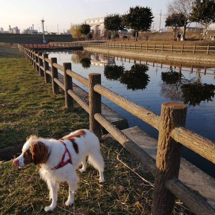 184f84e2 e966 4039 8b2a 0cb096a70857 1609239500517