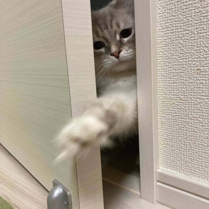 184f96fa e4e3 454e a248 9e338ab6cb62 1689167044034