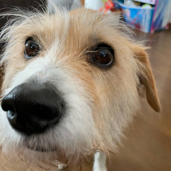 184fadfa b5b1 4cbe b4df 35abe3365609 1585960363431