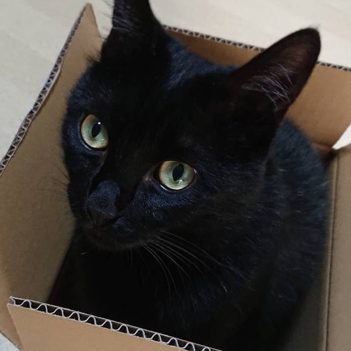 184fbd01 dc31 480d 94b2 19a99bbfdf02 1651199497773