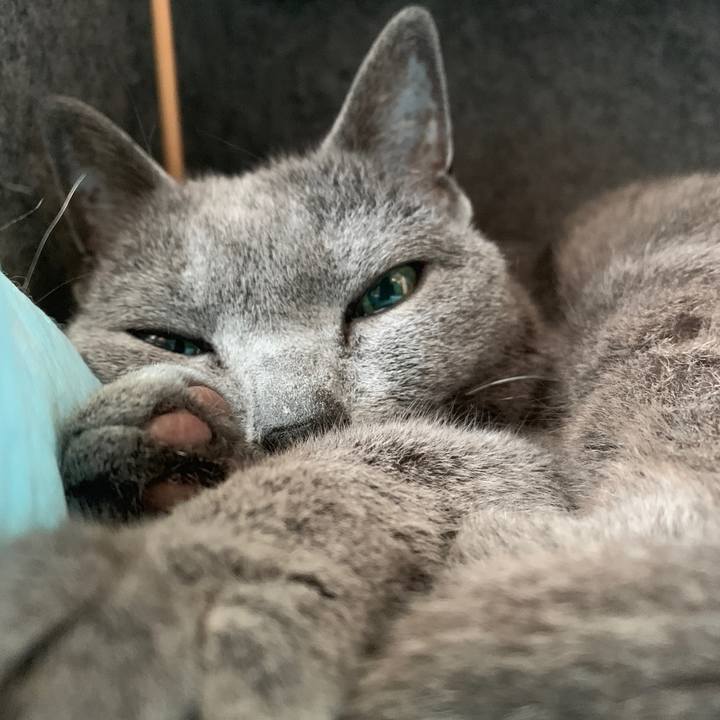 184fbf5c 68e7 4583 8edb 75114b1d578e 1555885667873