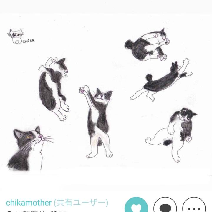 184fd6cf b489 4022 be0a ef62c8b8303f 1614073533036