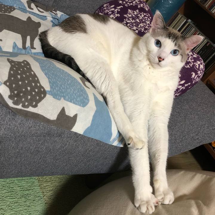 184fe895 f24e 4dab 9628 ea31e776e22c 1634039682847