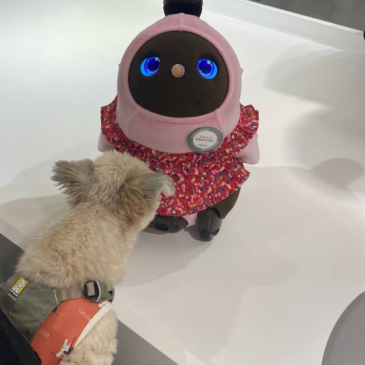 18507612 5693 4a7c 92eb 54173aa7f4e7 1761984448124