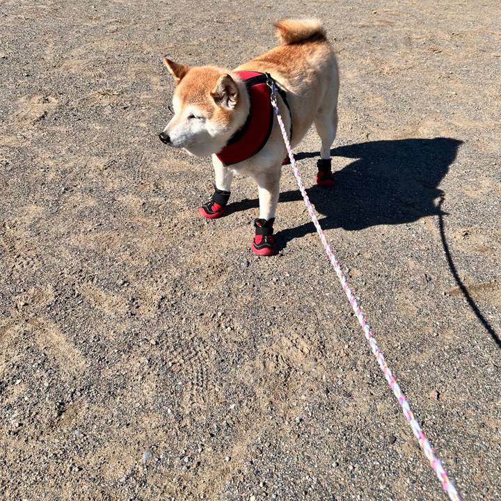 1850b9d3 5b93 45c4 b5c0 8bd6c8054821 1732763479436