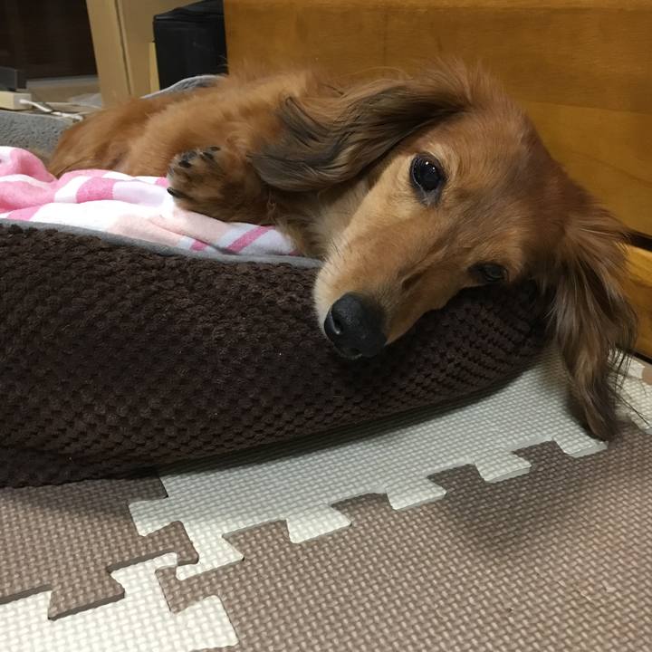 1850c9c4 ebcd 4300 82ca d22ddfd6c632 1525519483481