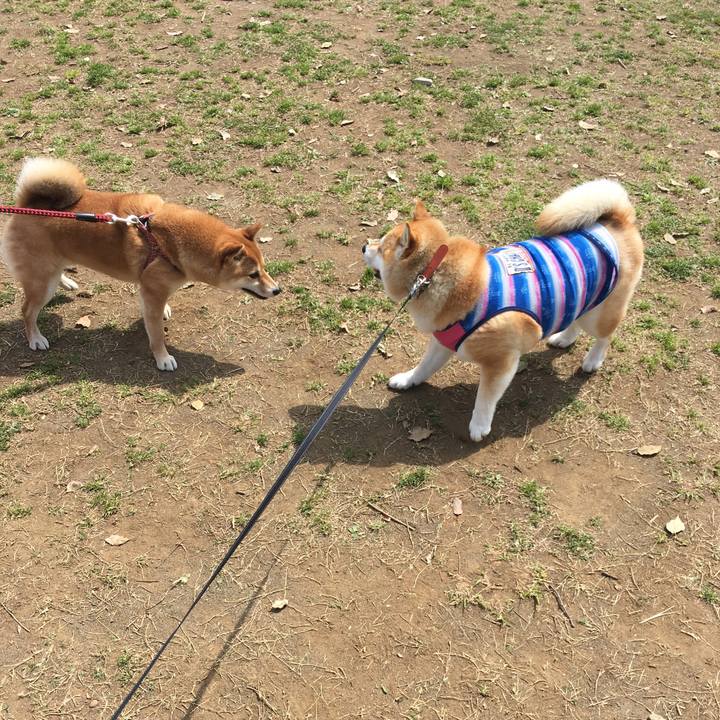 1850cc11 abc4 4fd1 9f2b 427e94a14fdd 1553489097841