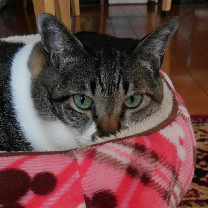 1850ce18 9dd3 4a16 8ac5 f5d214401693 1518563578457