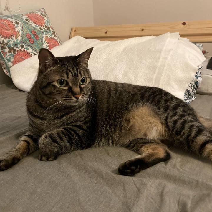 1850da0a 2e64 4bbe 9714 42ce444823c3 1623194489229