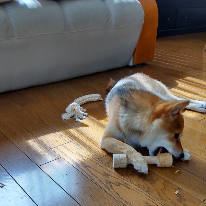 1850eff8 490b 4e03 8025 0787fb878d80 1625985231129