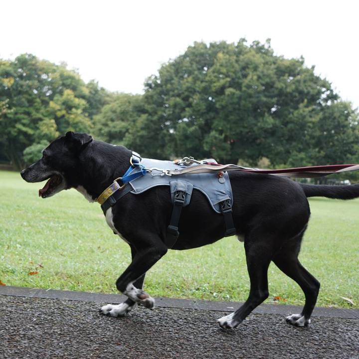 1850f2a6 c7db 45b0 af96 9e5628c71c85 1760576125106