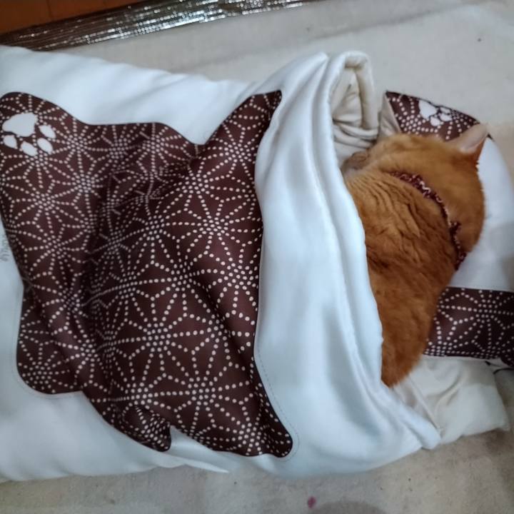 1850f3a1 cb5e 4359 bec9 8140201c8764 1621248941316