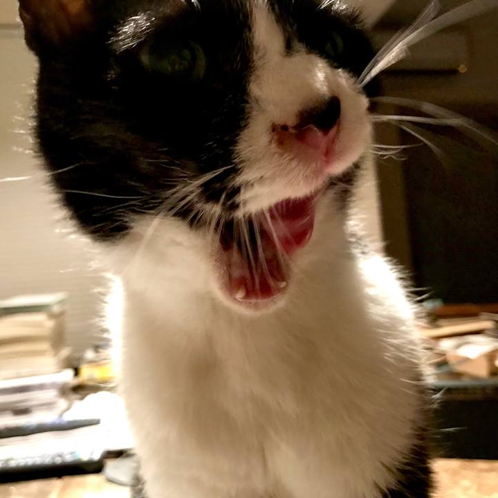 1850f557 28bf 495f 81f2 af68126c7d12 1549081746811