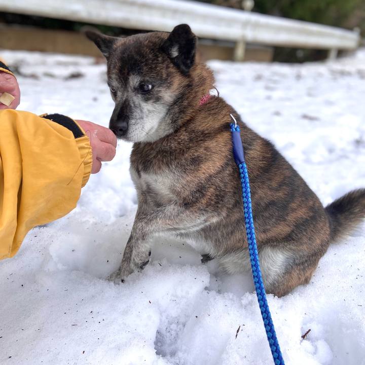 18511d1b 2475 4dc6 ac02 deef509dda89 1671930064895