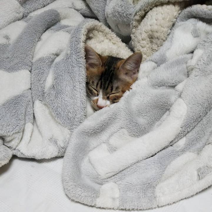 18514090 668a 427c 8d81 d635482a5c5f 1639128687332