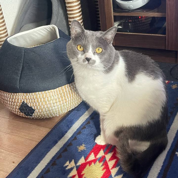 185147d0 5caa 4269 9472 006dbe3b719d 1672118384378