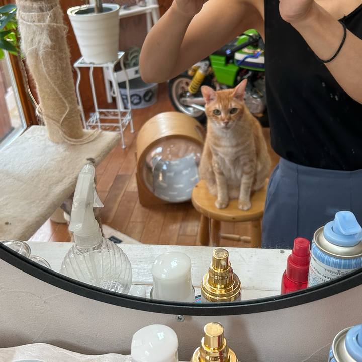 18514b1a c289 4ddc b71f 0a0c591bff4c 1686608759333