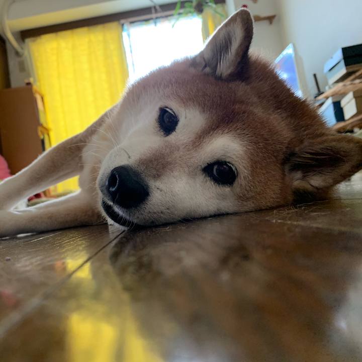 185171cc 2cff 42b0 9bf5 1cc414c1a3f2 1565684326052