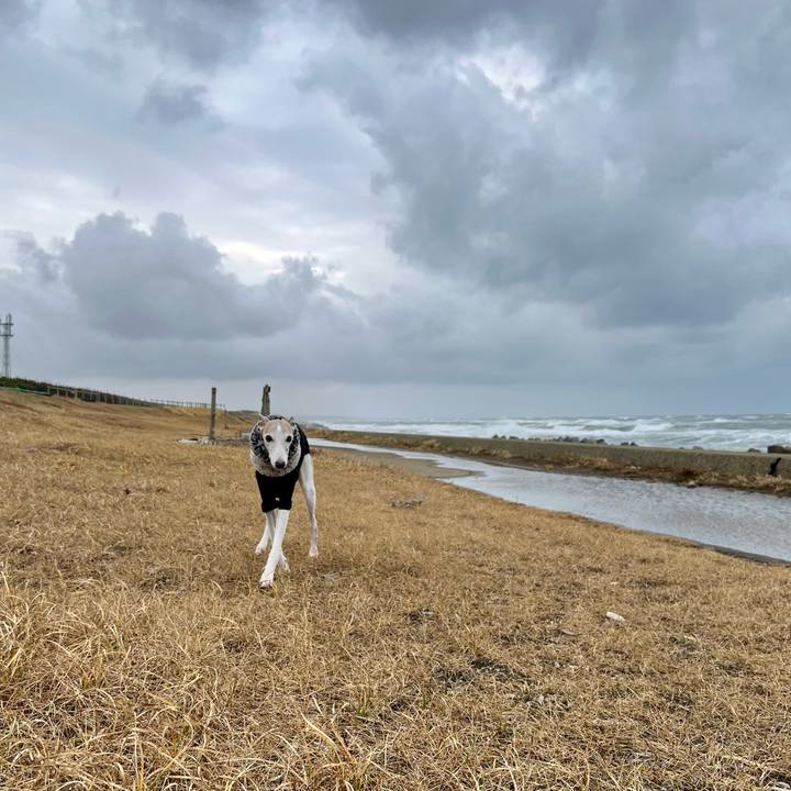 185191cc 3ad4 44dd ae8d 191832b80f36 1764577244359