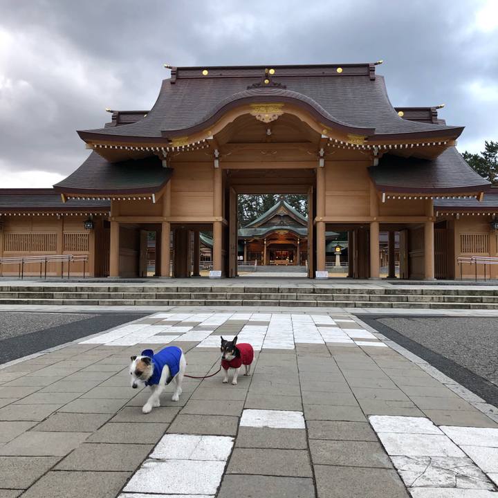 1851c255 cb42 4864 b2f0 26c77a009e65 1582846305284