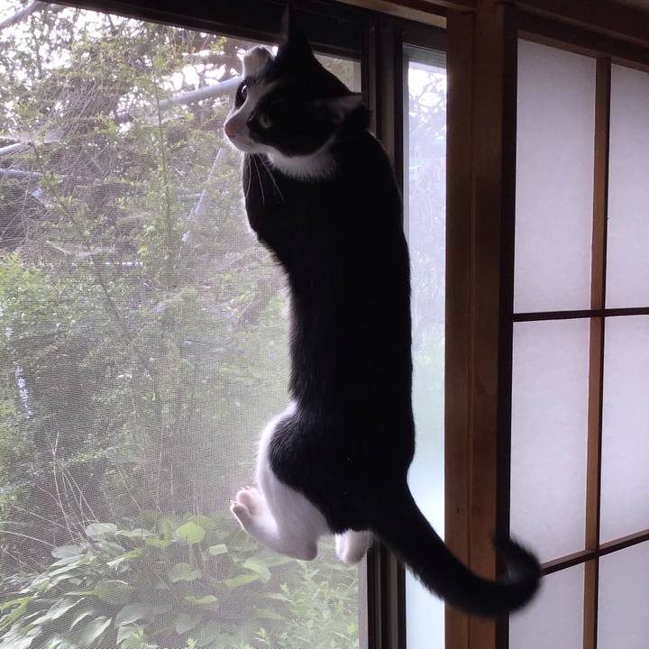 1851ccec 3093 4527 b551 79168dd1c3f4 1629787972016