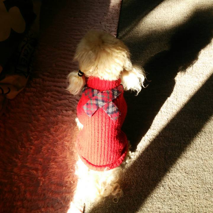 1851e5a3 01bc 47f3 9e6d f5c40085d2ce 1543380572987