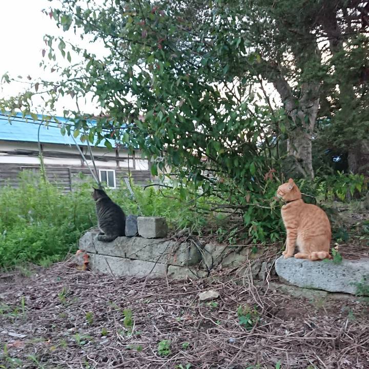 18524f69 50a1 4bfa bddc d8109ce6238c 1661765510604