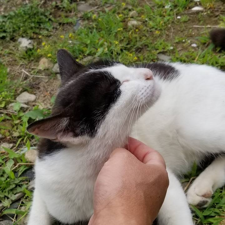 1852a2d5 2758 4064 9372 94fb054eea74 1562658300328